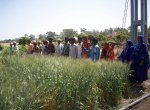 Agriculture
